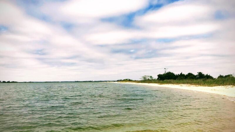 Saxis Wildlife Management Area - Bloxom, VA