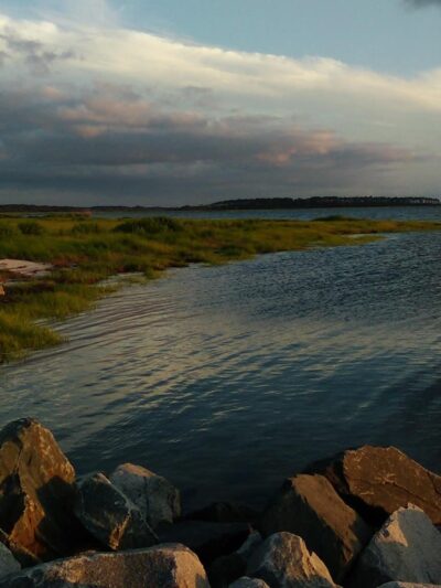 Saxis Wildlife Management Area - Bloxom, VA