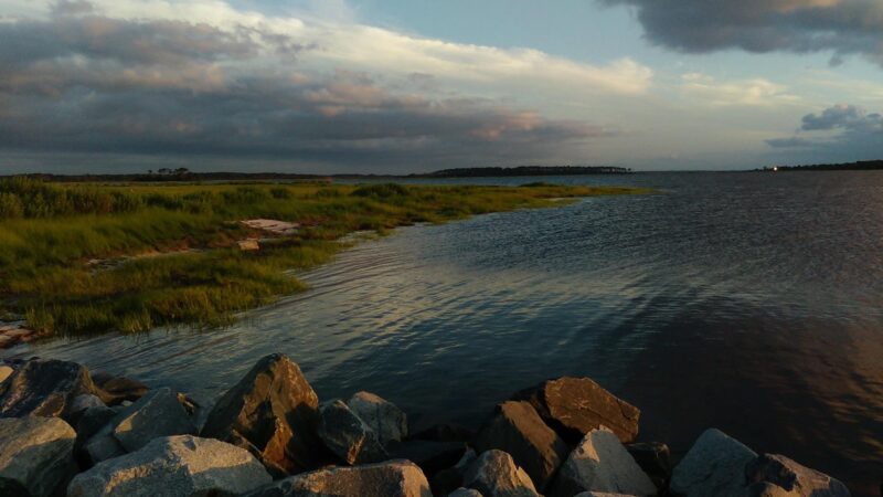 Saxis Wildlife Management Area - Bloxom, VA