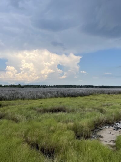 Saxis Wildlife Management Area - Bloxom, VA