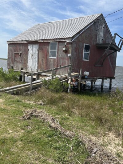 Saxis Wildlife Management Area - Bloxom, VA