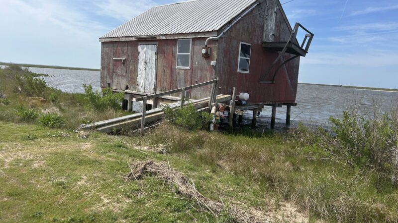 Saxis Wildlife Management Area - Bloxom, VA