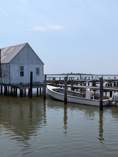 Saxis Wildlife Management Area - Bloxom, VA