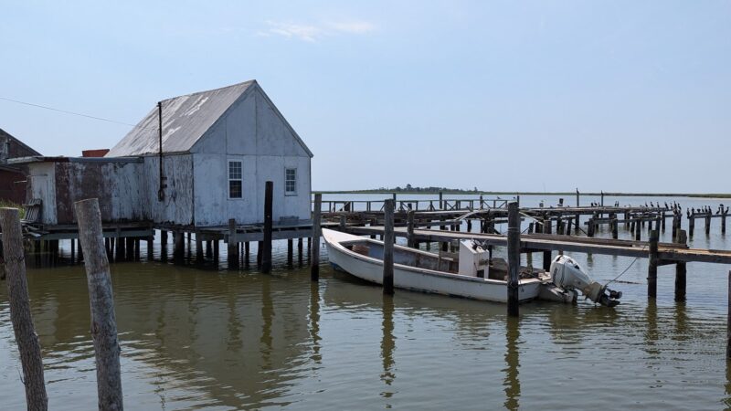 Saxis Wildlife Management Area - Bloxom, VA