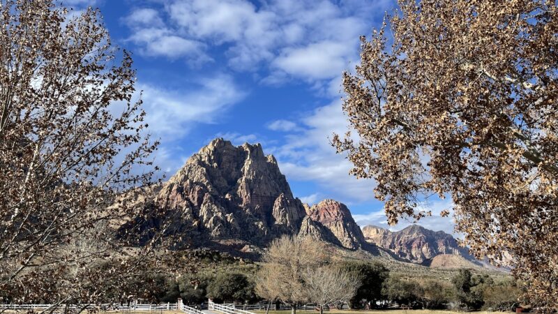 Spring Mountain Ranch State Park - Blue Diamond, NV