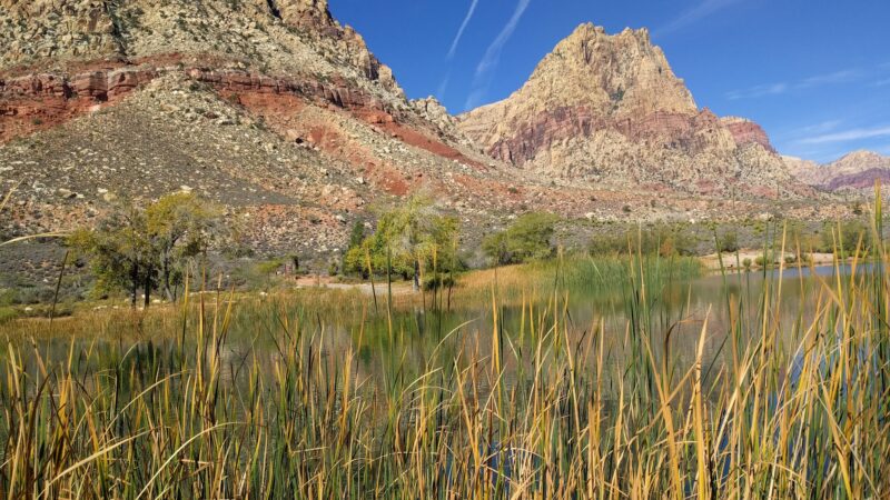 Spring Mountain Ranch State Park - Blue Diamond, NV