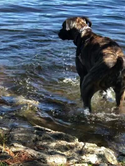 Lake Durant State Campground - Blue Mountain Lake, NY