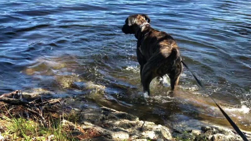 Lake Durant State Campground - Blue Mountain Lake, NY