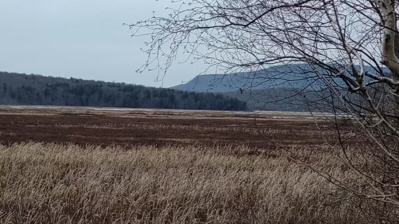 Northville Lake Placid Trail Head, Blue Mountain - Blue Mountain Lake, NY