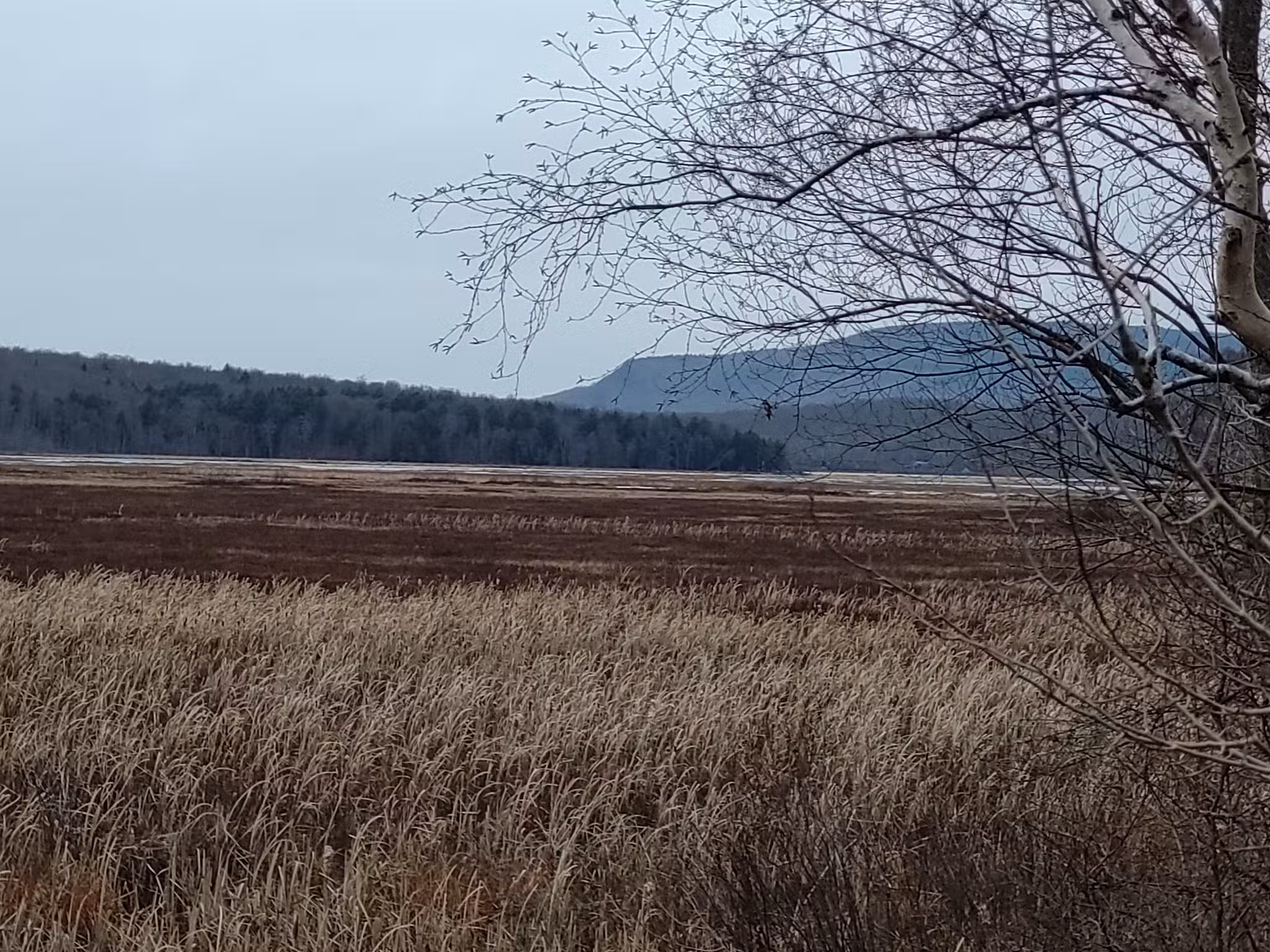 Northville Lake Placid Trail Head, Blue Mountain - Blue Mountain Lake, NY