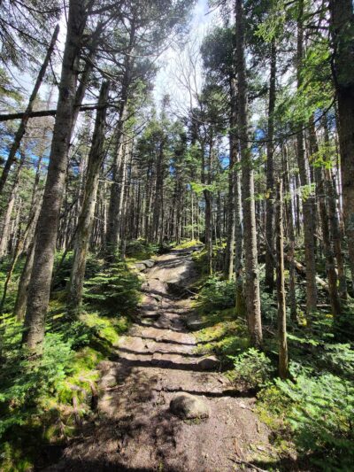 Blue Mountain Fire Tower/Hiking Trail - Blue Mountain Lake, NY