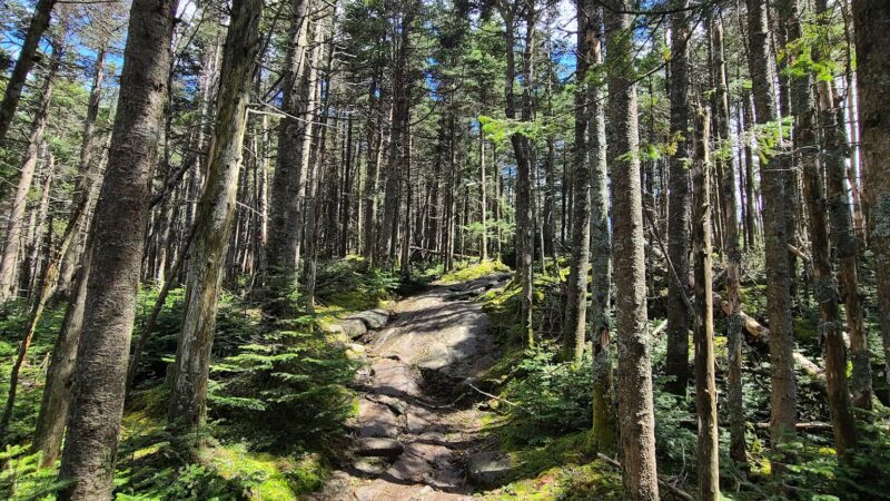Blue Mountain Fire Tower/Hiking Trail - Blue Mountain Lake, NY