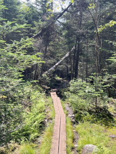 Blue Mountain Fire Tower/Hiking Trail - Blue Mountain Lake, NY