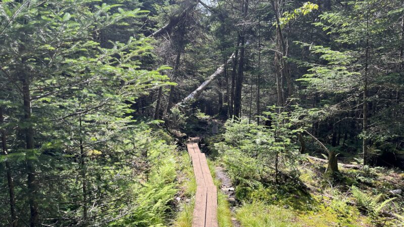 Blue Mountain Fire Tower/Hiking Trail - Blue Mountain Lake, NY