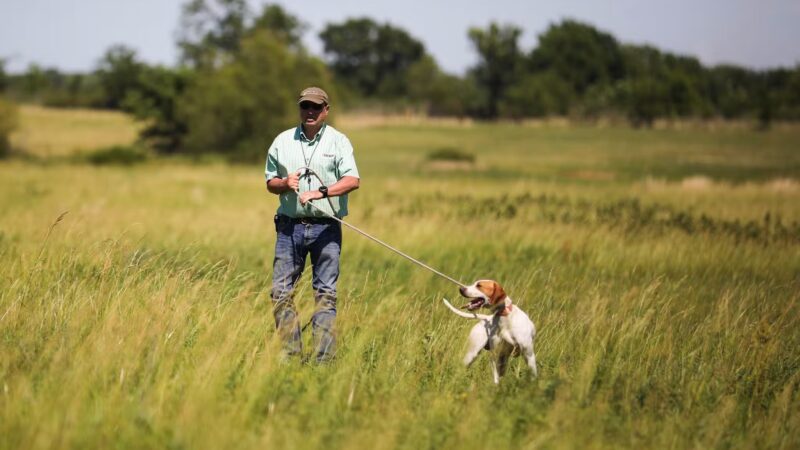 Crosscountry Kennels, LLC - Bluejacket, OK