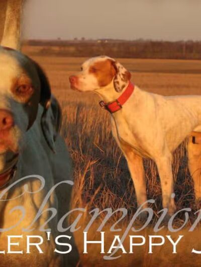 Crosscountry Kennels, LLC - Bluejacket, OK