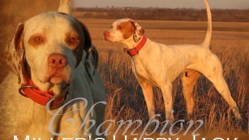 Crosscountry Kennels, LLC - Bluejacket, OK