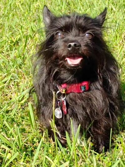 Bluff City Boardwalk and Pavilion - Bluff City, TN