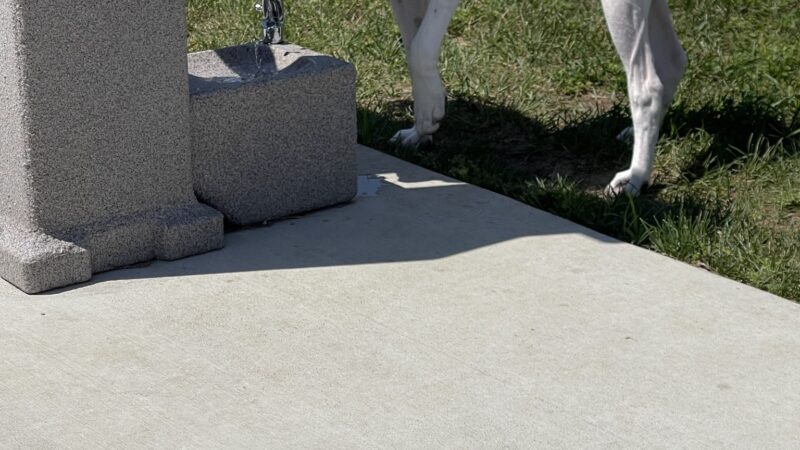 Bluffton Community Dog Park - Bluffton, OH