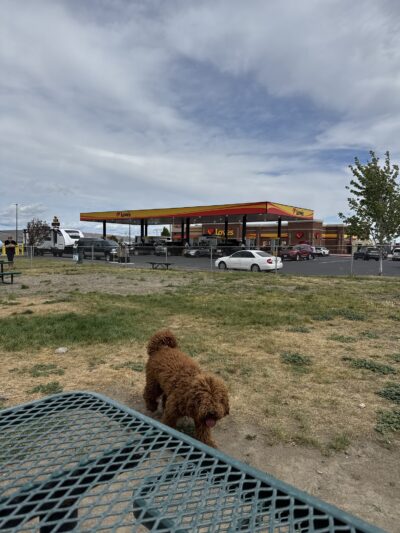 Dog Park at Love's Travel Stops - Boardman, OR