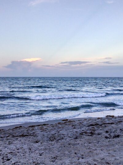 Weekend Dog Beach - Boca Raton, FL