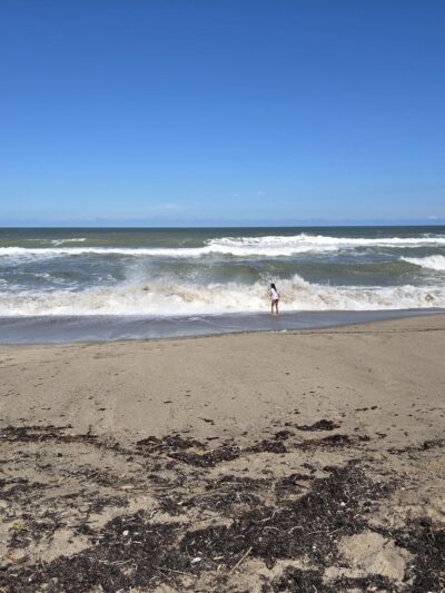 Weekend Dog Beach - Boca Raton, FL