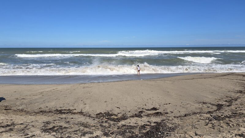 Weekend Dog Beach - Boca Raton, FL