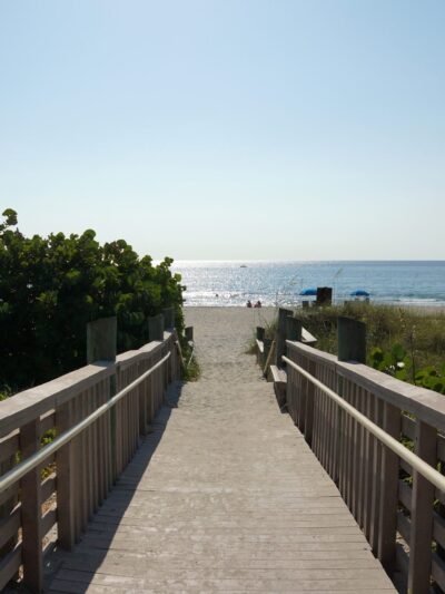 Weekend Dog Beach - Boca Raton, FL