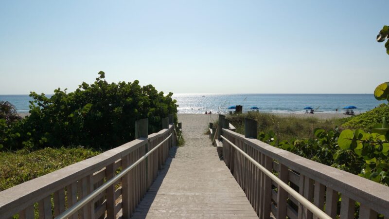 Weekend Dog Beach - Boca Raton, FL