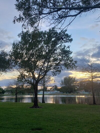American Homes Park - Boca Raton, FL