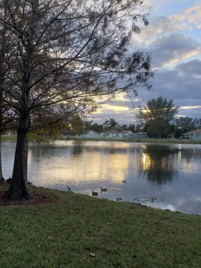 American Homes Park - Boca Raton, FL