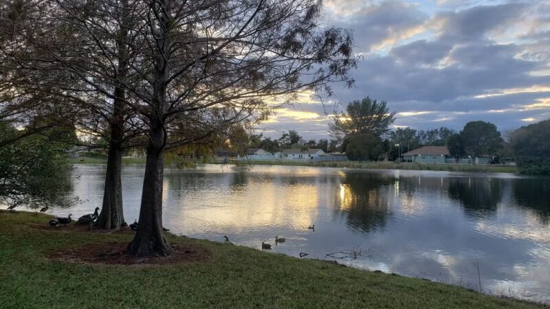 American Homes Park - Boca Raton, FL