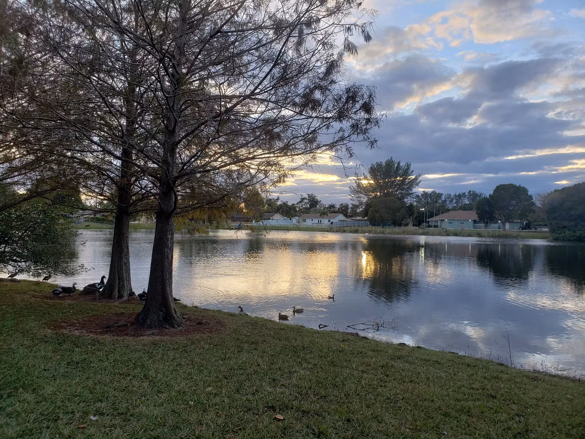 American Homes Park - Boca Raton, FL