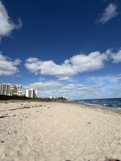 Bark Park Dog Beach - Boca Raton, FL