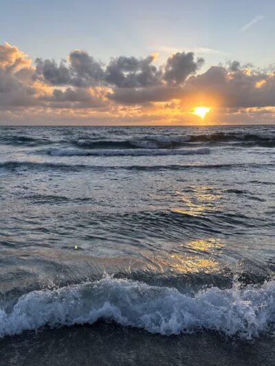 Bark Park Dog Beach - Boca Raton, FL
