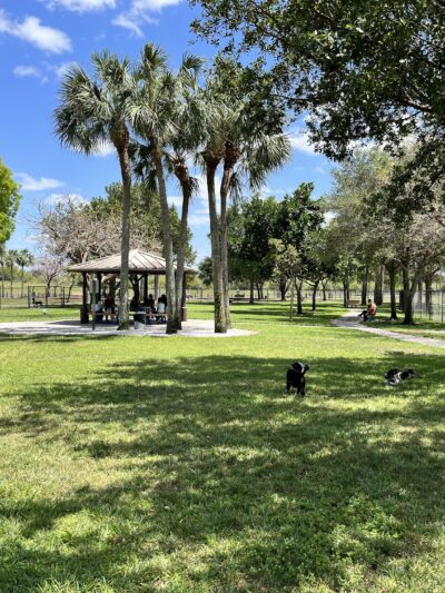 Canine Cove at South County Regional Park - Boca Raton, FL