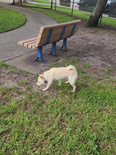 Canine Cove at South County Regional Park - Boca Raton, FL