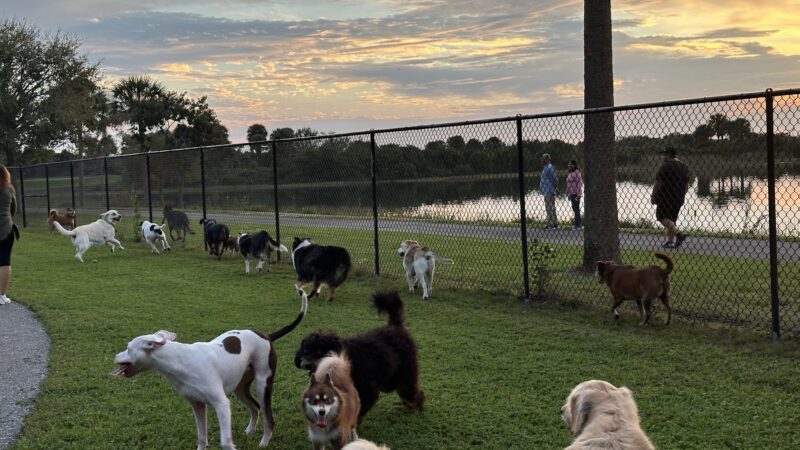 Canine Cove at South County Regional Park - Boca Raton, FL
