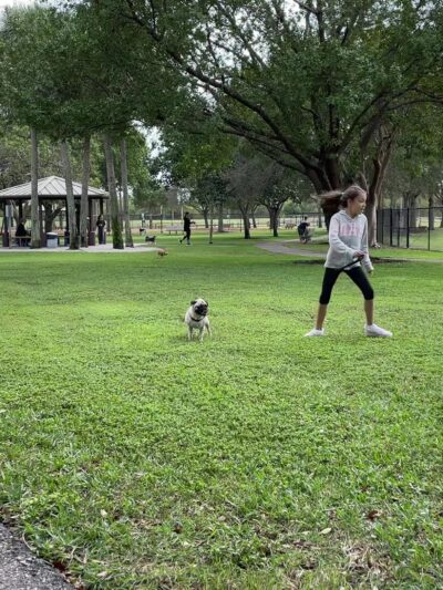 Dog Park - Boca Raton, FL