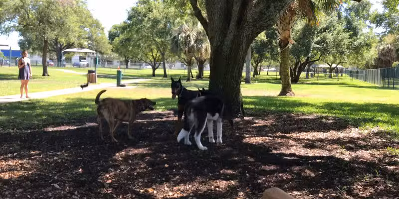 Mizner Bark Dog Park - Boca Raton, FL