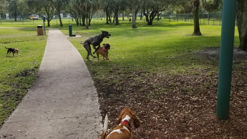 Mizner Bark Dog Park - Boca Raton, FL