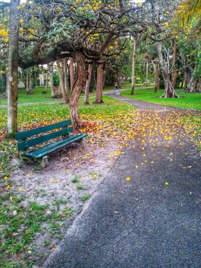 Parque Placido - Boca Raton, FL