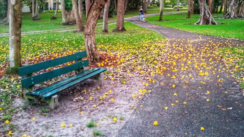 Parque Placido - Boca Raton, FL