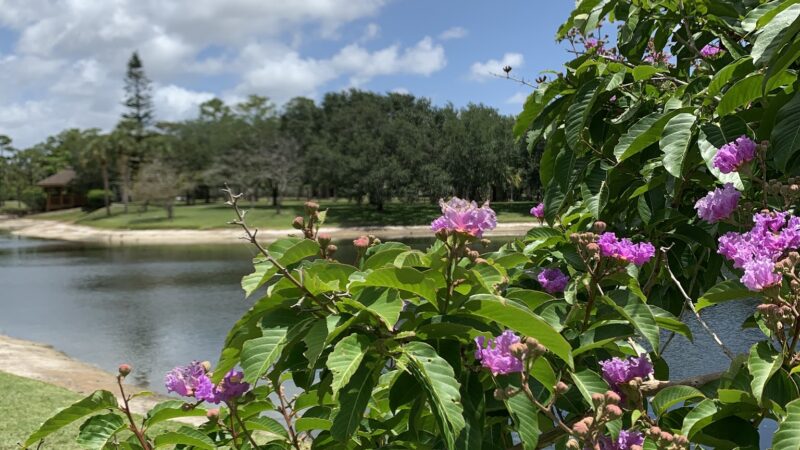 Parque Placido - Boca Raton, FL