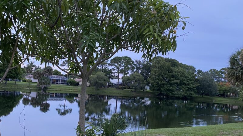 Pinewood Park - Boca Raton, FL