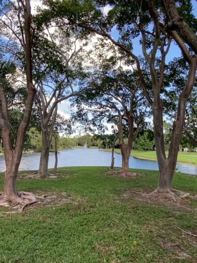 Pinewood Park - Boca Raton, FL