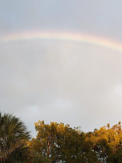 Pinewood Park - Boca Raton, FL