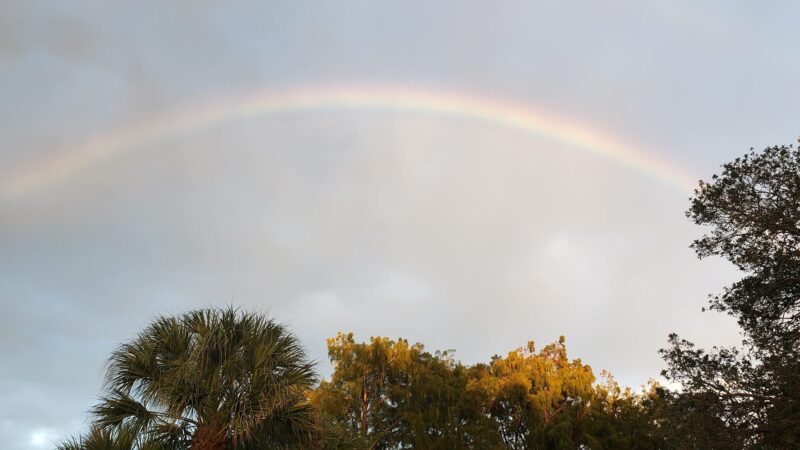 Pinewood Park - Boca Raton, FL