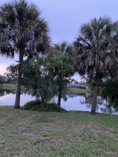 Pinewood Park - Boca Raton, FL