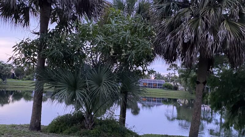 Pinewood Park - Boca Raton, FL